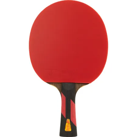 Ракетка для н/т DOUBLE FISH 7A+C, для професс.,ITTF Appr.,накл.2,1мм,+ 2 мяча V40+мм ITTF Appr за 3&nbsp;559.80 ₽ купить в Махачкале