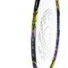 Ракетка бадм. TORRES Carbon PRO6, BD20521,для продв., стерж/обод из карбона,со струнами, фиол за 4&nbsp;477.80 ₽ купить в Махачкале