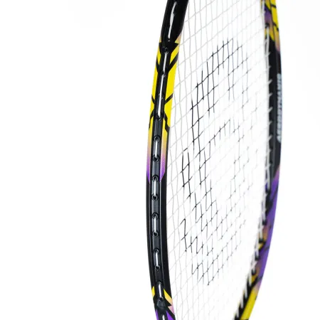 Ракетка бадм. TORRES Carbon PRO6, BD20521,для продв., стерж/обод из карбона,со струнами, фиол за 4&nbsp;477.80 ₽ купить в Махачкале