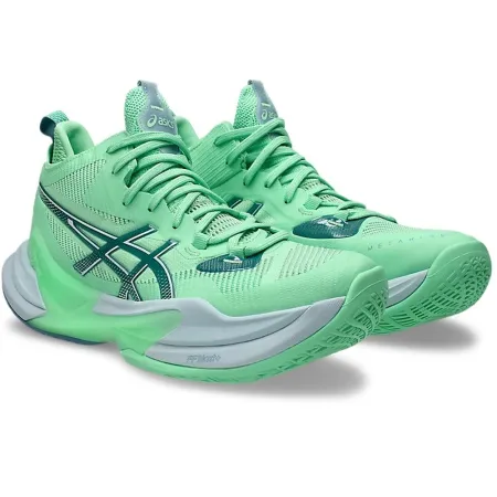 1051A089-300 2