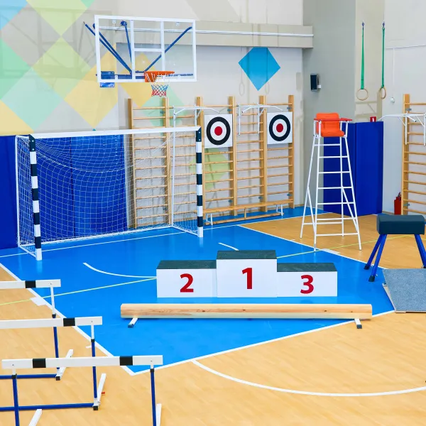 Щит для метания навесной на шведскую стенку (фанера) 700х700 ZAVODSPORTA за 8&nbsp;960 ₽ в Махачкале