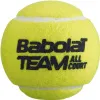 Мяч теннисный BABOLAT Team All Court,502081, уп.4 шт,одобр.ITF, сукно, нат.резина,желтый за 2&nbsp;385.10 ₽ купить в Махачкале