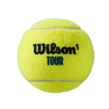 Мяч теннисный WILSON Tour Premier All Court, WRT119400, одобр.ITF, фетр, нат.резина,. уп.4 шт за 1&nbsp;676.20 ₽ купить в Махачкале